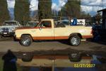80 bighorn 005