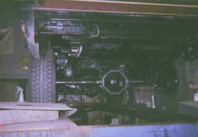 macho frame2.jpg