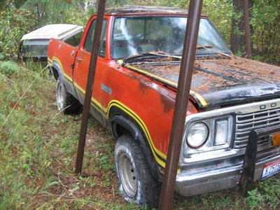 78macho_3.jpg