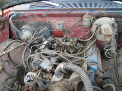 DSC01121.JPG