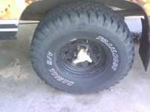 77' dodge p.w. pic 2.jpg