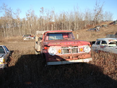 DSC00345.JPG
