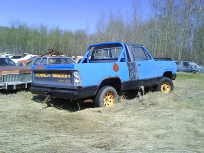 Blue Macho.jpg